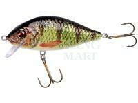 Wobler Jaxon Holo Select Karaś Nature 3D 9cm 17g - OH