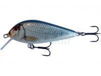 Hard Lure Kenart Bass 9cm 20g - RR