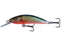 Hard Lure Kenart Winner Pro 7DR F 7cm 6g - NRG