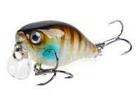 Hard lure Lucky John Original Chubby SSR 4F 40mm 4.5g - 013
