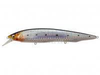 Hard Lure Megabass Kanata Ayu SW 160mm 30g - GG IWASHI