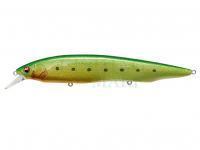 Hard Lure Megabass Kanata Ayu SW 160mm 30g - GLX GREEN BACK CHART