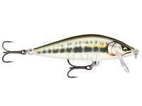 Hard Lure Rapala CountDown Elite 5.5cm 5g - Gilded Minnow (GDMN)