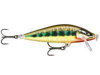 Wobler Rapala CountDown Elite 5.5cm 5g - Gilded Vairon (GDVR)