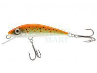 Wobler River Custom Baits Fury 7 cm 6g - T013