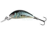 Wobler Salmo Hornet 3.5cm 3.5g Sinking - Real Dace