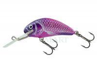 Salmo Hornet H4S - UV Purple