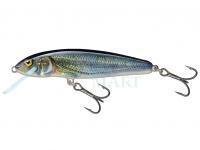 Hard Lure Salmo Minnow Sinking 5 | 5cm 5g | 2" 3/16oz - Spirlin