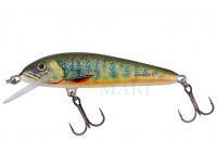 Hard Lure Salmo Minnow Floating 7 | 7cm 6g | 2 3/4" 3/16oz - Lake Charr