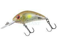 Hard lure Salmo Hornet Rattlin 5.5cm 10g F - Clear Ayu