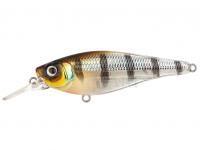 Wobler Spro Ikiru Shad 70SL | 7cm 10g SF - Buzzer