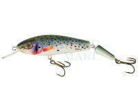 Hard Lure Vidra Lures Apex 12 Jointed 12cm 23g - RBT