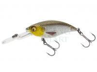 Hard Lure Westin BuzzBite Crankbait 4cm 4g - Gold Headlight Limited