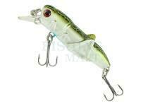 Jaxon Woblery Atract Hooper XHJ