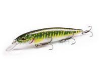 Strike Pro Hard Lures Bold