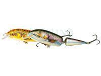 Dorado Hard Lures Bombon