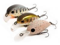 Zipbaits Hickory SR lures