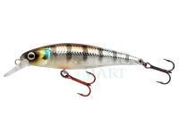 SPRO Hard Lures IKIRU Silent Jerk SLS 65 and 95