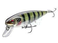 Prorex Minnow SR