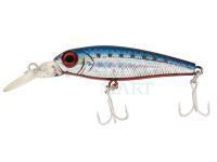 Jackson Woblery PY Shad