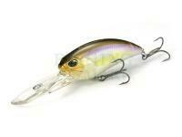 DUO Woblery Realis Crank G87 15A