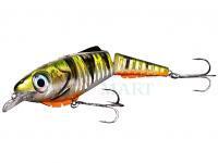 SPRO Lures Ripple Profighter 145 MW & DD