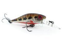 Adam's Hard Lures Shad 34 F MR