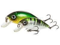 Lucky John Woblery Shad Craft