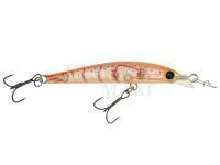 AquaWave Hard Lures Shallow Magic 45