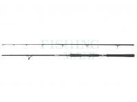 Rod Abu Garcia Beast Pike Spinning 2.54m 30-110g