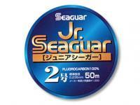 Seaguar Żyłki fluorocarbonowe Jr. Seaguar Fluorocarbon