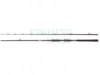 Wędka Abu Garcia Beast Pike Casting 2.44m 30-100g