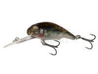 Wobler Savage Gear 3D Goby Crank 4cm - 01 Goby