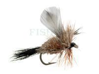 Dry fly Adams Irresistible no. 16