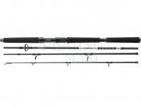 Wędka Daiwa BG Offshore Travel 2.40m 40-125g