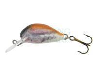 Lure Dorado Alaska A-2,5 Floating BT