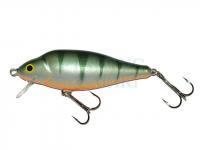 Lure Gloog Ares 70SRF - P