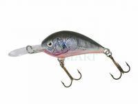 Wobler Dorado Blagier 3,5F CK