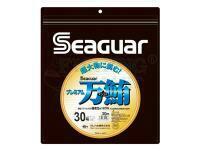 Fluorocarbon Seaguar Premium Manyu 30m 0.66mm PE: #16