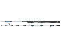 Sea fishing rod Dragon Boat Master Jig 40-200g 2,20m