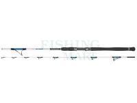 Sea fishing rod Dragon Boat Master Jig 40-200g 1,80m