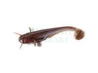 Soft baits Fishup Catfish 75mm - 050 Green Pumpkin Brown/Red & Purple