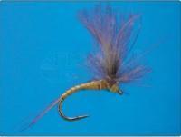 CDC Emerger Olive no.18