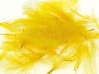 CDC Loose Grade Dyed 0.5g - Golden Yellow