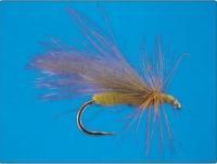 CDC Tan Caddis nr 12