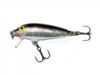 Wobler Rapala CountDown 11cm - Silver