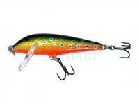 Lure Rapala CountDown 5cm - Brook Trout