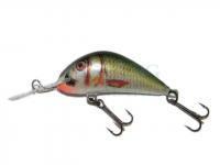 Lure Kenart Diver 4cm NR