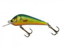 Lure Kenart Dynamic 5cm NRX