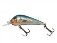 Lure Kenart Dynamic 6cm NRB